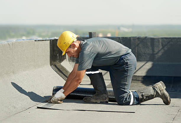 Best Eco-Friendly Insulation in Joanna, SC